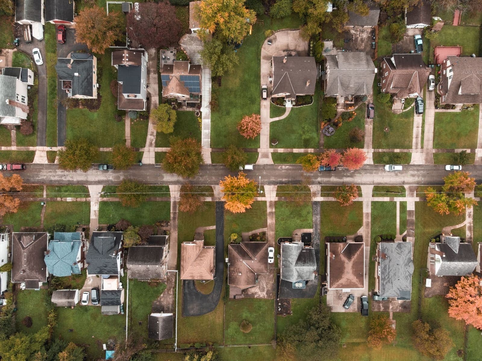A tree-lined residential street seen from directly above, with houses and driveways on both sides