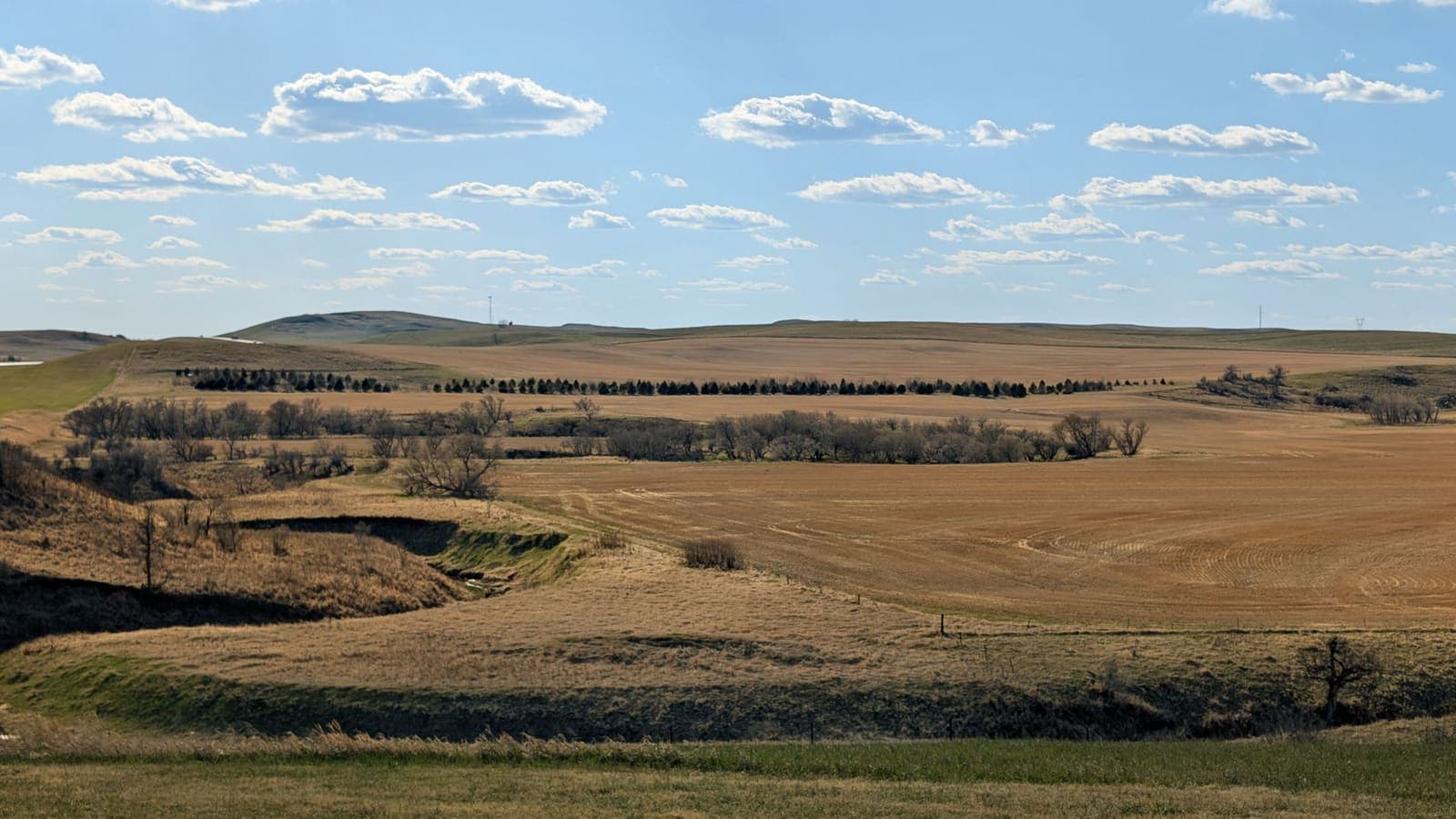 Open, unbuilt farmland and a line of bare trees under a blue sky with scattered clouds