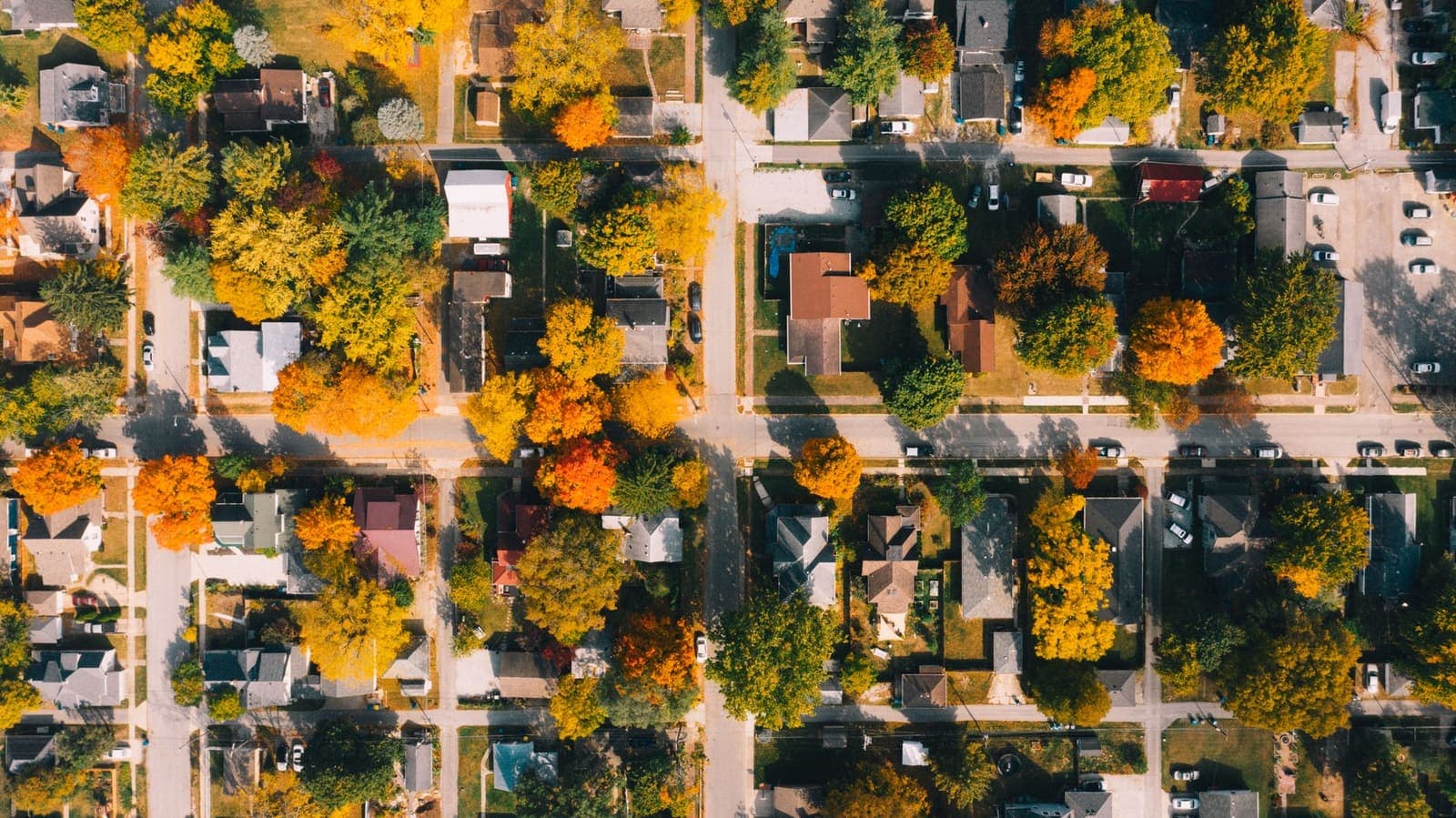 An aerial view of a Midwest neighbourhood grid in autumn with orange and yellow trees between the houses