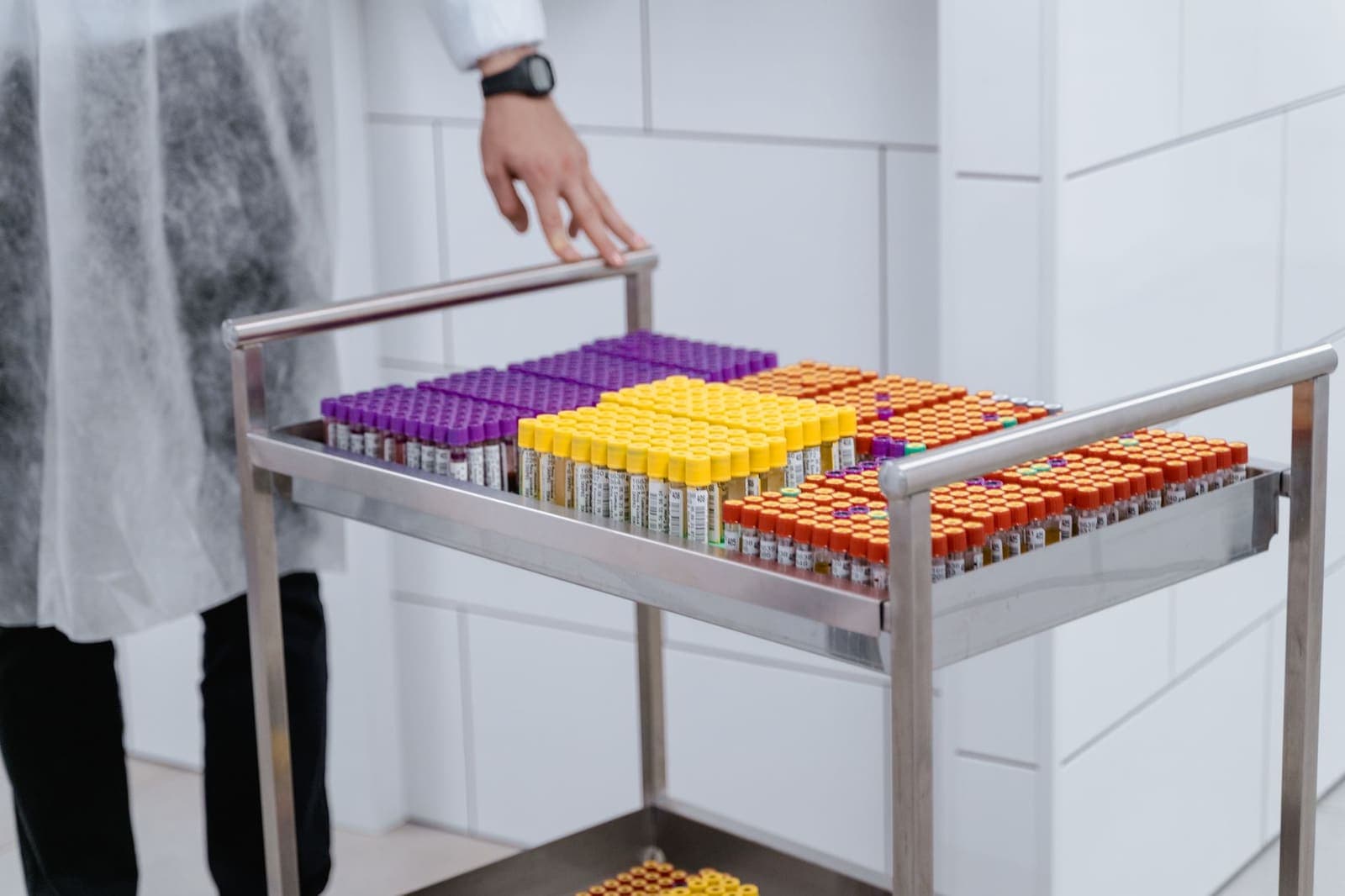 Rows of capped laboratory sample vials on a steel cart