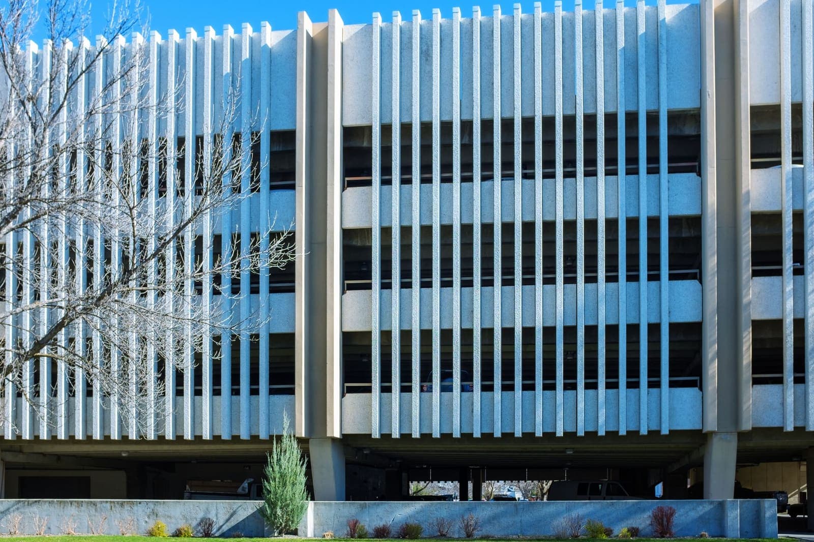 A multi-storey concrete parking structure with vertical fins, a bare tree in front and a strip of lawn