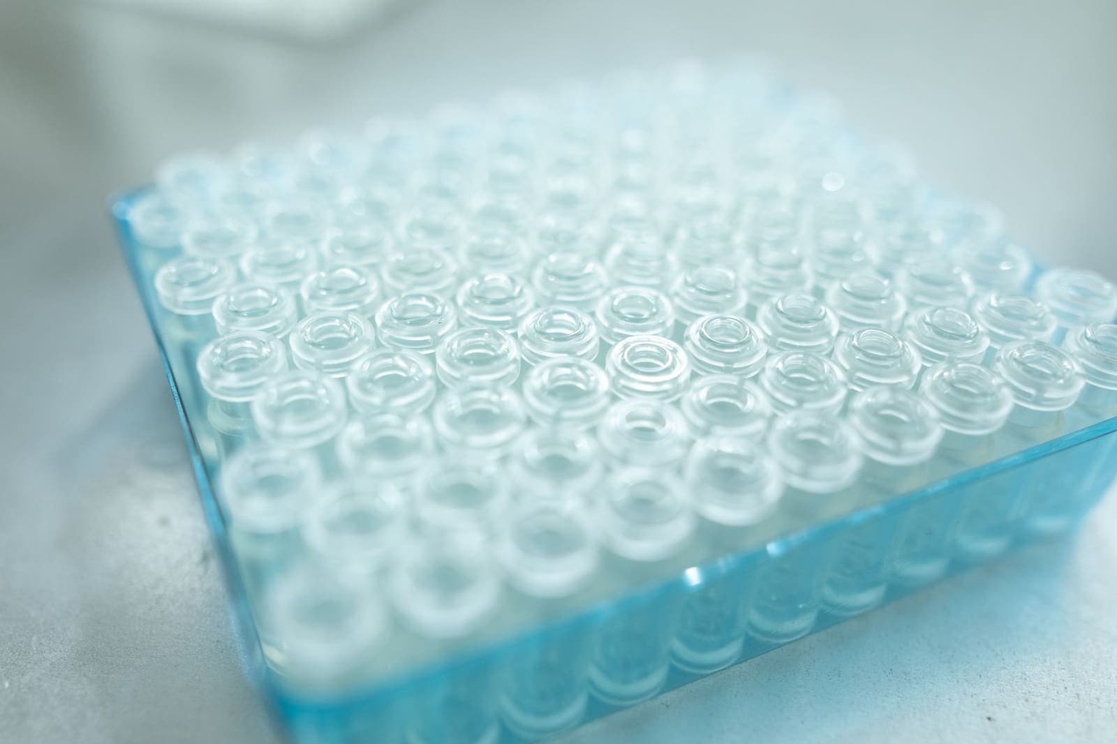 A clear blue tray holding rows of empty glass vials on a pale laboratory bench